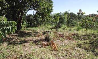 Imagem 3: Área de 1.700metros, terra de plantio com,agua,luz. WhTSApp * Guilherme