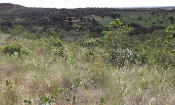 Imagem 2: Oportunidade única: Lindas chácaras de 10 mil metros WhTSApp * Guilherme