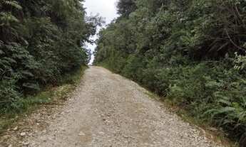 Imagem 7: Chácaras 4,7 alqueires. Escritura e Registro. Auto suficiência. Saia da cidade