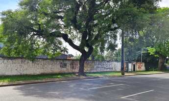 Imagem 3: Excelente Terreno 3427 M² testada Linha Verde e Rápida Bairro-Centro Curitiba-PR