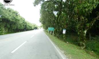 Imagem 2: TERRENOS 600M² PRAINHA - GUARATUBA