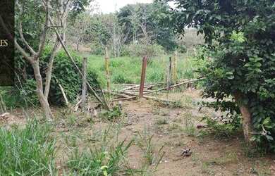 Imagem 5: Chácara com 2 dormitórios à venda, 13000 m² por R$ 390.000,00 - Distrito Agroindustrial de