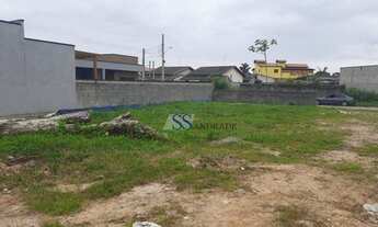 Imagem 3: Terreno aterrado e murado no bairro Getuba