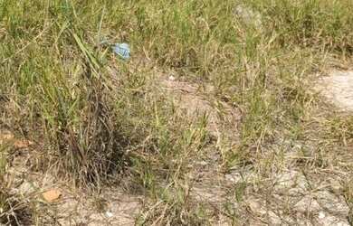 Imagem 2: Terreno para Venda em Jundiaí, Jardim Vale Verde