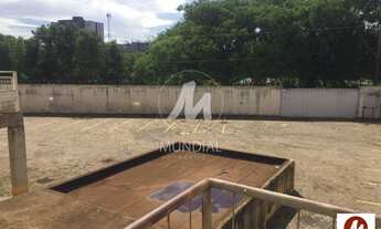 Imagem 5: Salão/Galpão (salão - térreo