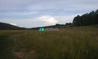 Imagem 3: OLIVEIRA - Fazenda - Zona Rural