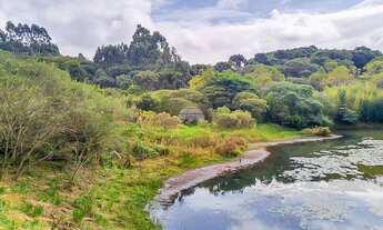 Imagem: Vendas Área Colombo PR