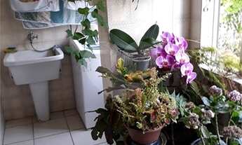 Imagem 7: São Paulo - Apartamento Padrão - SANTO AMARO