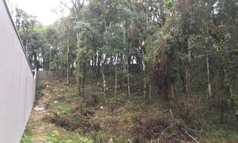 Imagem 2: CAXIAS DO SUL - Terreno Padrão - LOTEAMENTO SANTO ANDRE