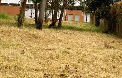 Imagem 4: Terreno para alugar, 5046 m² por R$ 15.000,00/mês - Recreio Anhangüera - Ribeirão Preto/SP