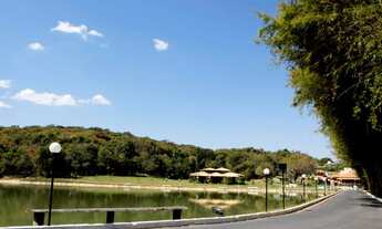 Imagem 4: Lote de 1.000m2, com fundo e lateral para mata de preservação ambiental