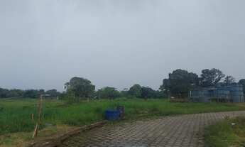 Imagem 3: Terreno Urbano Estrada do 40 horas.<br>Bairro Coqueiro / Ananindeua/ PA