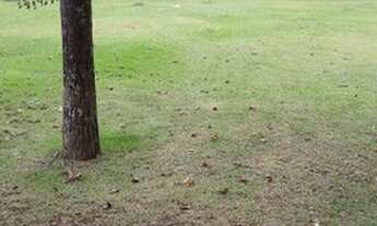 Imagem 2: Terreno em Tamboré Industrial com 1740mts