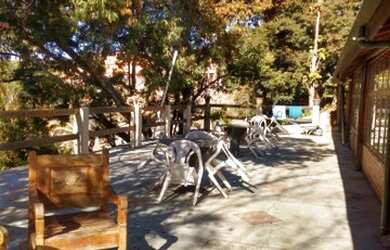 Imagem 7: Chácara em Centro - Pinhalzinho