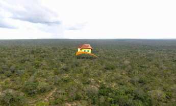 Imagem 3: Fazenda para Venda em Luzinópolis, Vale do Araguaia