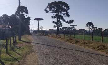 Imagem 3: Excelente Lote com 600 m2 sem benfeitoria campina taguaral 170.000