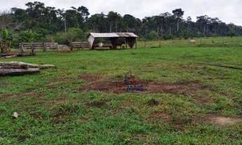 Imagem 5: Fazenda à venda, por R$ 15.000.000 - Zona Rural - Porto Velho/RO