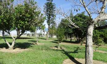 Imagem 4: Fazenda/Sítio/Chácara para aluguel possui 96000 metros quadrados com 3 quartos