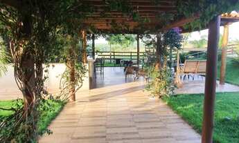 Imagem 6: Fazenda - Cristalina (GO