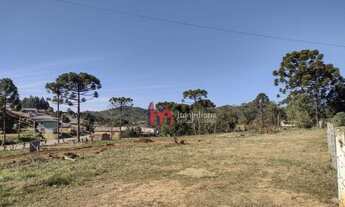 Imagem 6: Terreno à venda, 690 m² por R$ 170.000,00 - Bateias - Campo Largo/PR