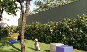 Imagem 6: RAÍZES TUCURUVI