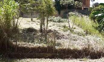 Imagem: Terreno - Jardim das Paineiras - Campinas