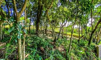 Imagem 6: FLORIANóPOLIS - Terreno Padrão - Morro Da Cruz