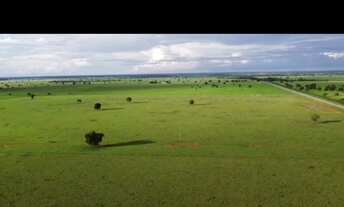 Imagem: Vende-se um espetáculo de fazenda 4 512