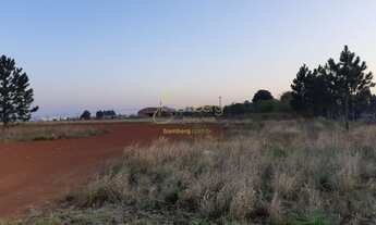 Imagem 2: Terreno em Distrito Industrial em Ponta Grossa
