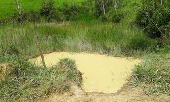 Imagem 7: Sítio 5 alqueires com Rio no final do Sítio (Willian Ricardo