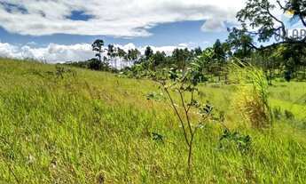 Imagem 5: Terreno à venda, 2000 m² por R$ 150.000,00 - Brigadeiro Tobias - Sorocaba/SP
