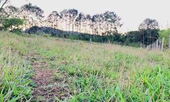 Imagem 4: M12- Saia do Aluguel