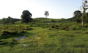 Imagem: Fazenda 32 alqueires com 25 alqueires de