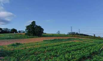 Imagem 7: Lote/Terreno para venda com 500 metros quadrados em Centro - Mairiporã - SP