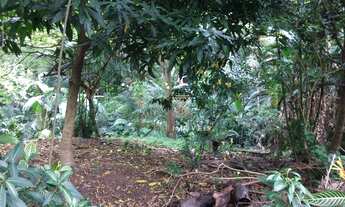 Imagem 4: Terreno à venda, 130 m² por R$ 430.000 - Vila Progredior - São Paulo/SP