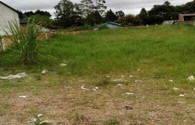 Imagem 7: Otimo terreno para investidor no bairro São Francisco/Araucária