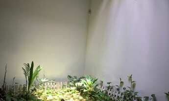 Imagem 5: Casa para Aluguel ou venda tem 300 metros quadrados com 4 quartos em Torreão - Recife - PE