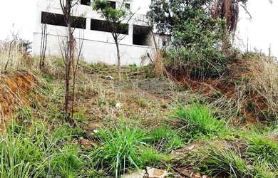 Imagem 4: CONTAGEM - Terreno Padrão - Tropical