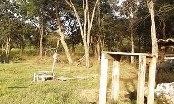 Imagem 5: Sitio 5.5 alqueires em Uchoa 2,5km rodovia- valor 550 mil