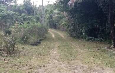 Imagem 7: SITIO RESIDENCIAL em CAMAÇARI - BA, COQUEIROS DE AREMBEPE (ABRANTES