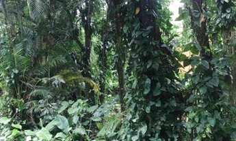 Imagem: Terreno em Condomínio Fechado à venda