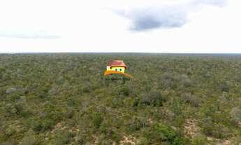 Imagem 2: Fazenda para Venda em Luzinópolis, Vale do Araguaia