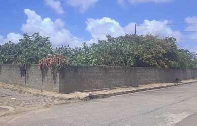 Imagem 2: Área com5.000 metros com 3 ruas bem localizada em natal