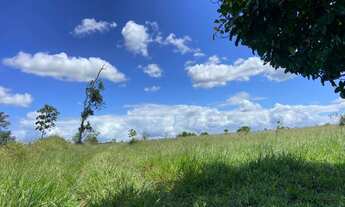 Imagem 7: Fazenda em Tabuleiro de Vitória, 400 tarefas de terra a 110km de Salvador