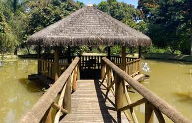 Imagem 7: Fazendinha com 3 lagoas em Mateus leme MG