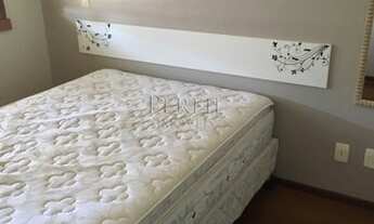 Imagem 5: PORTO ALEGRE - Padrão - São João