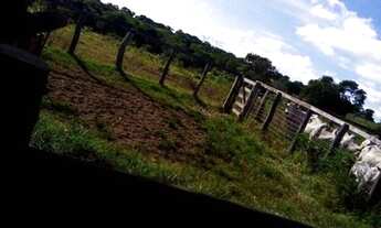 Imagem 4: Propriedade Rural Camapuã MS 405 hectares