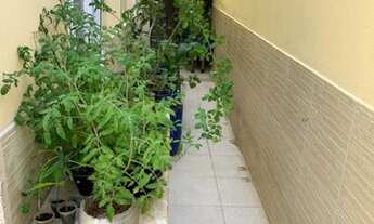 Imagem 4: Casa térrea a venda em Stella Maris, 3/4 c/ 1 suíte, sala, wc social, área externa com ch