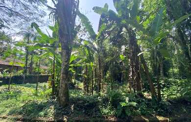 Imagem 2: LOTE PARA CONSTRUÇÃO IMEDIATA EM ITAMAMBUCA, LADO IMPAR