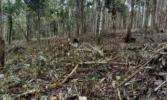 Imagem 2: Área para venda na Granja Urupes